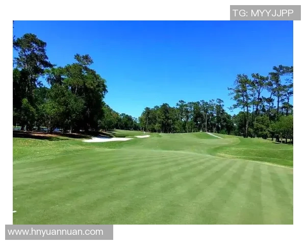 高尔夫足球：探寻球场上的魅力