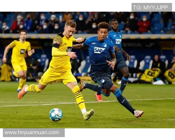 沃尔夫斯堡主场力克霍芬海姆，德甲积分榜上升至第七位——激荡人心的比赛瞬间